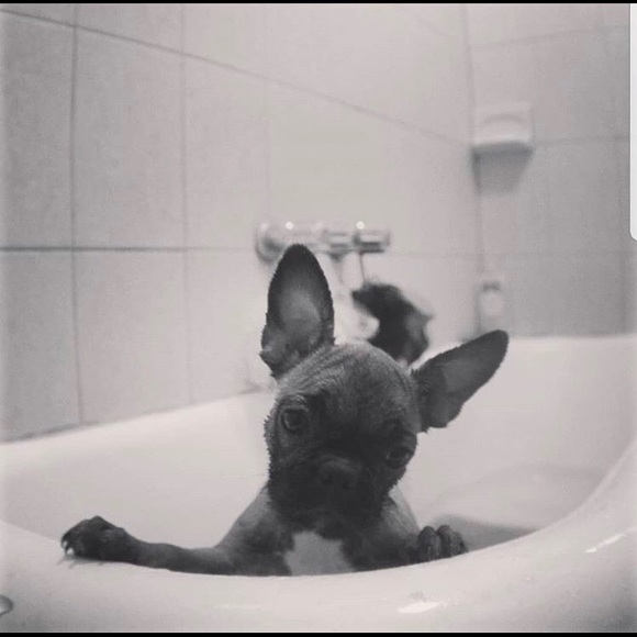 Meet your Posher, Mark - Picture 1 of 1